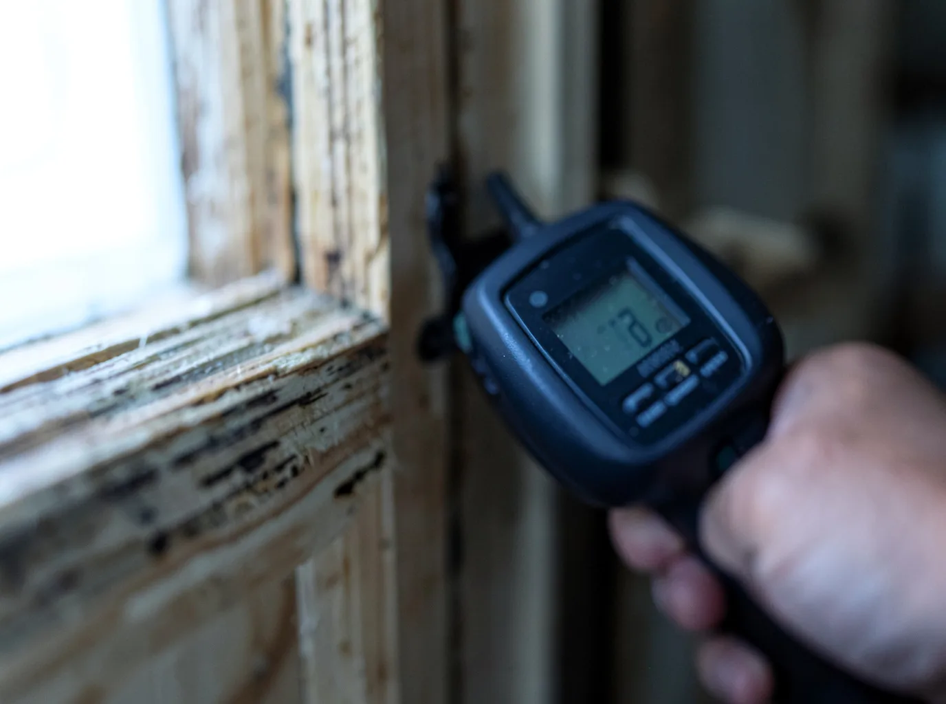 Moisture Inspection And Documentation in Braggadocio, MO
